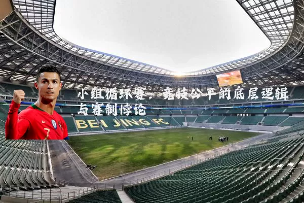 小组循环赛:竞技公平的底层逻辑与赛制悖论